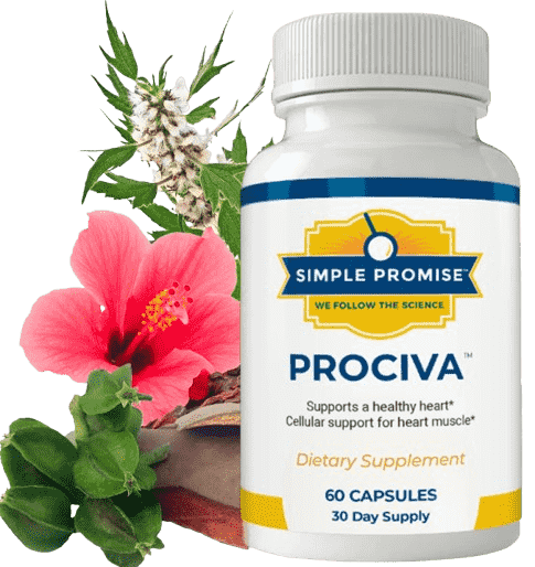 prociva-Reviews